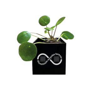 Picture for category Seeded Products